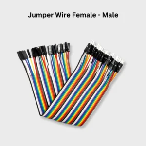 Female-to-Male Jumper Wire (10 Pcs)