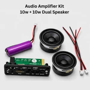 10W + 10W Dual Speaker Audio Amplifier Kit