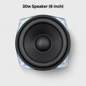 30W Speaker (6 Inch)