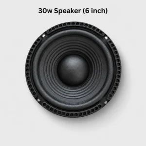 30W Speaker (6 Inch)