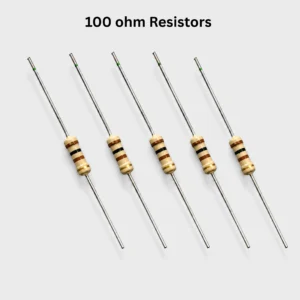 100Ω Resistor (5 Pcs)